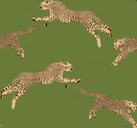 Hooked on Walls Scalamandré Leaping Cheetah JV26024