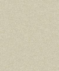 Hooked on Walls Soft Symmetry Albert 68601