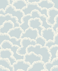 Hooked on Walls Soft Symmetry Cloud 68691