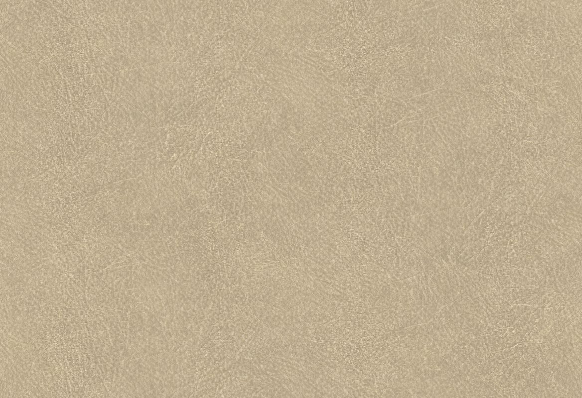 Hooked on Walls Tahiti Leather Plain TA25021