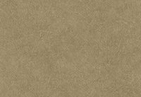 Hooked on Walls Tahiti Leather Plain TA25022