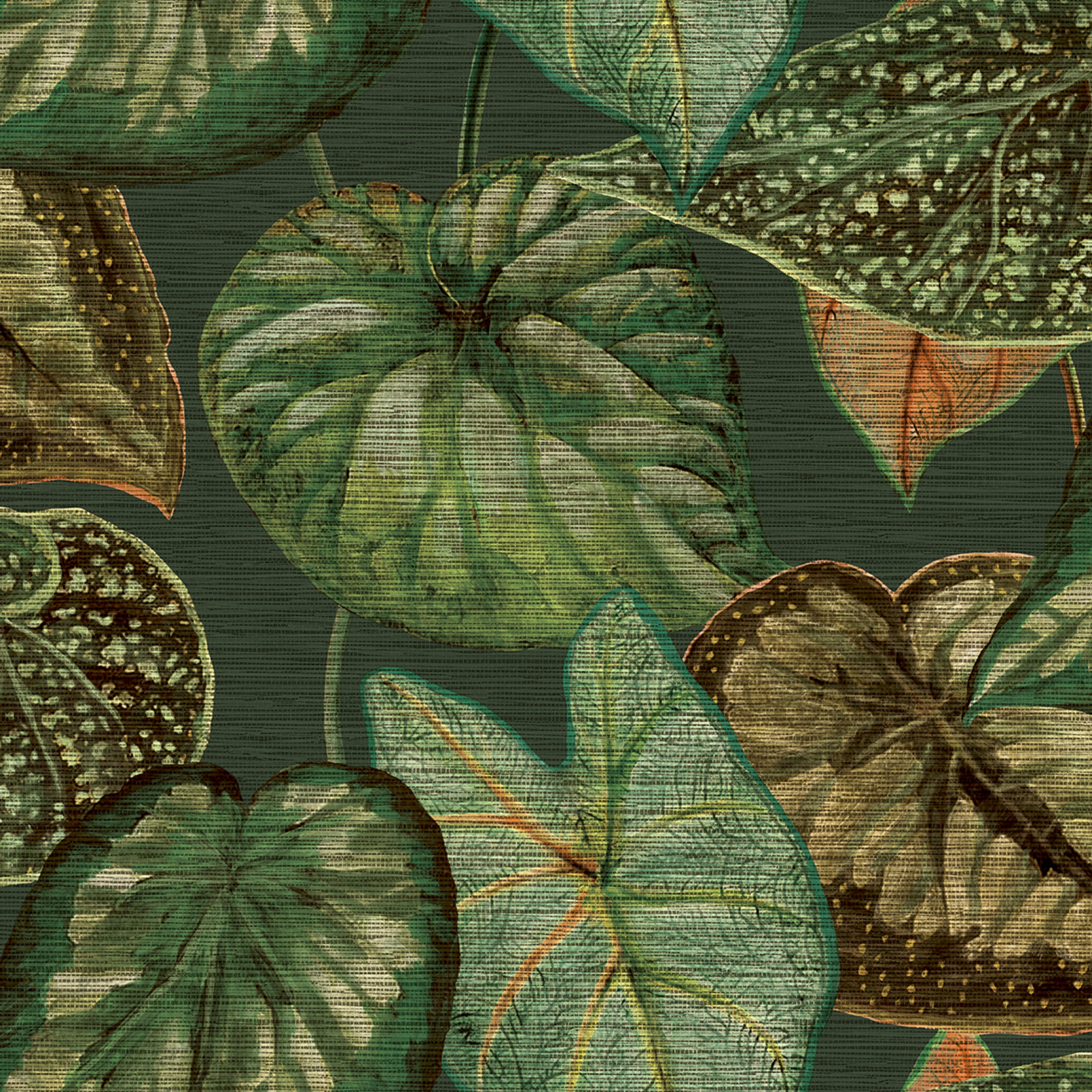 Hooked on Walls Tahiti Tropical Leaves TA25054