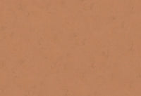 Hooked on Walls Terra Cotta Plain 1 42138