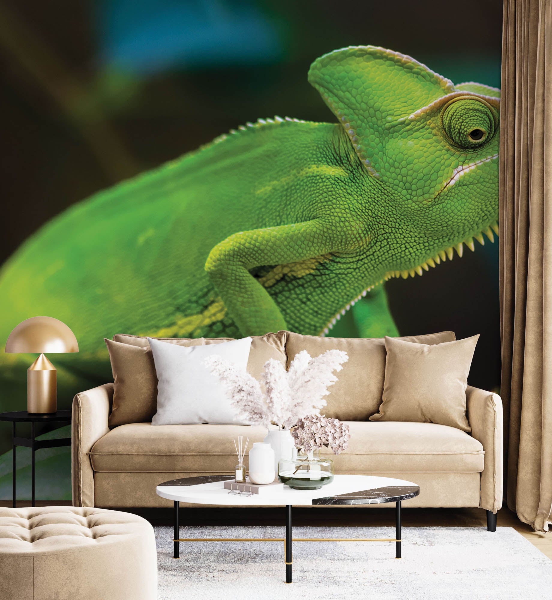 Kameleon op tak - LW00157 Fotobehang