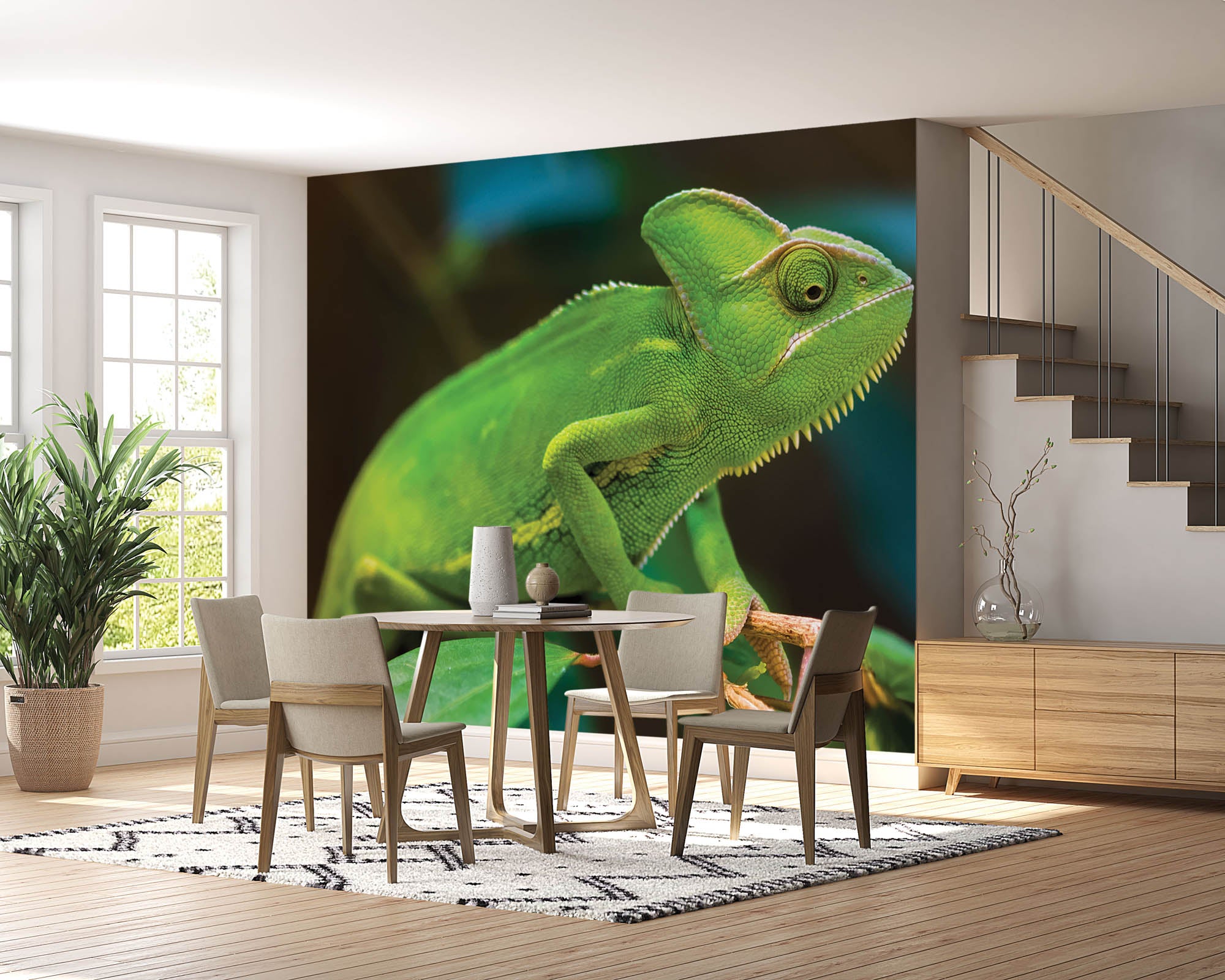 Kameleon op tak - LW00157 Fotobehang