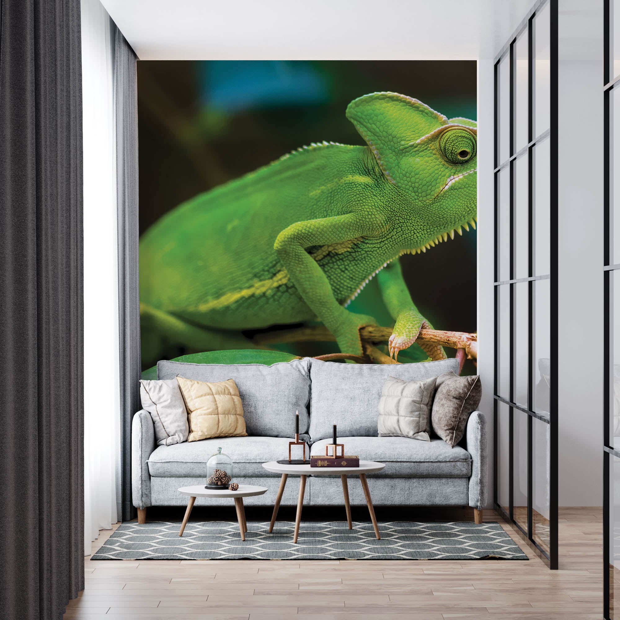 Kameleon op tak - LW00157 Fotobehang