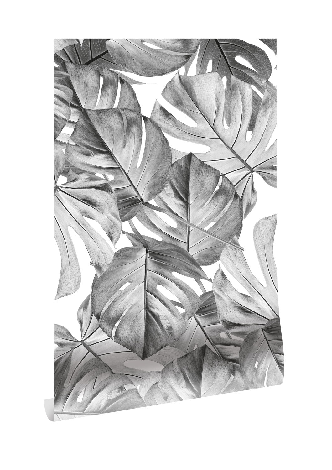 KEK Amsterdam Botanical Monstera WP-583 Behang