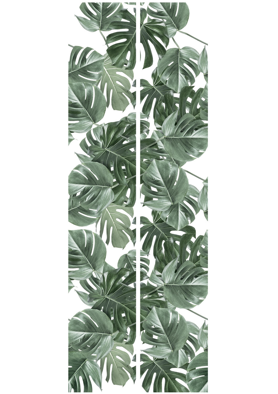 KEK Amsterdam Botanical Monstera WP-584 Behang