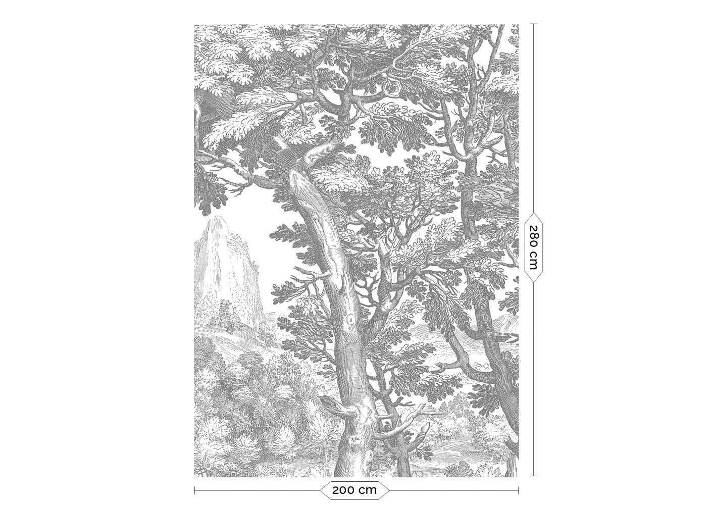 KEK Amsterdam Engraved Landscapes WP-779 - 4 Sheets Behang