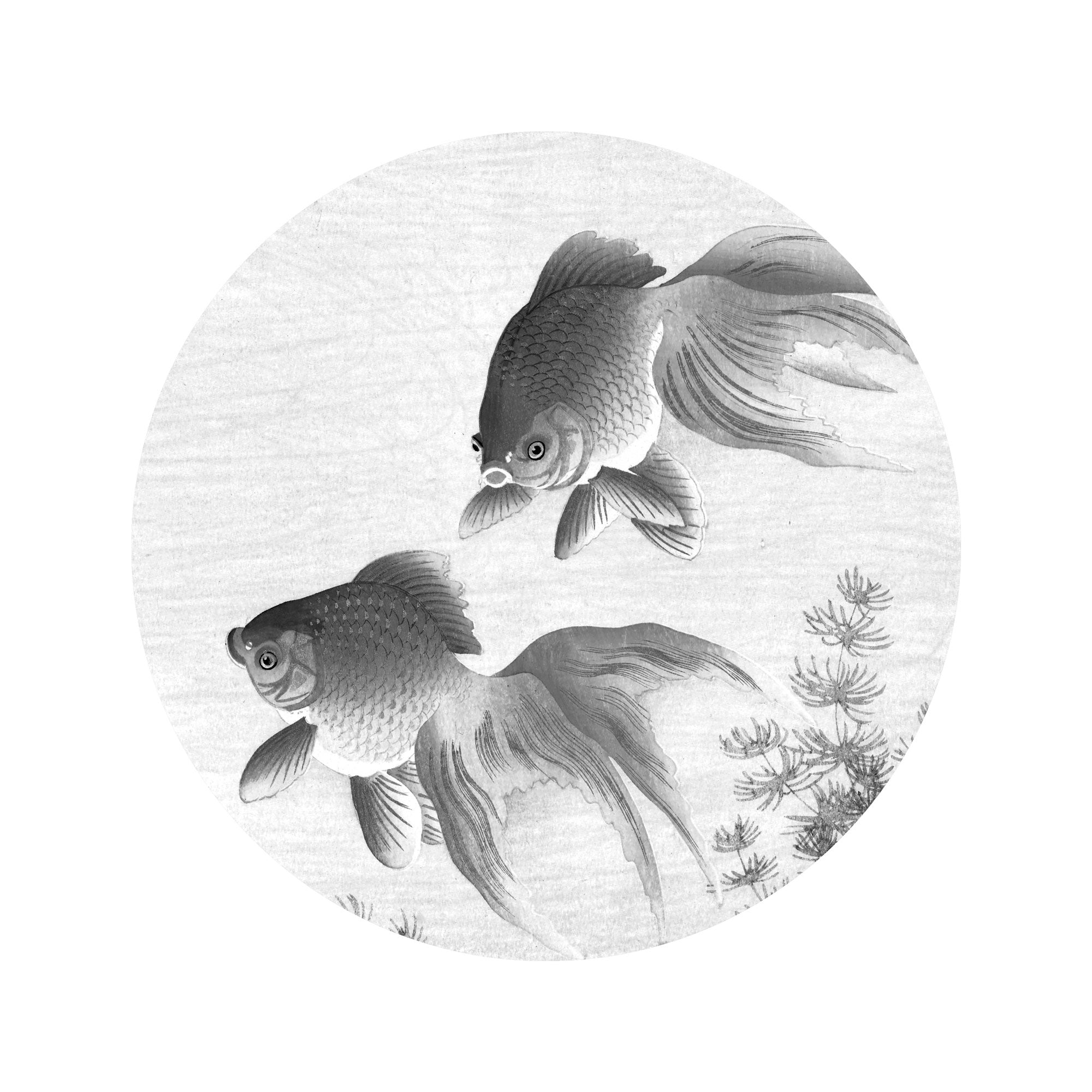 KEK Amsterdam Wallpaper Circle Goldfish SC-005 Behangcirkel