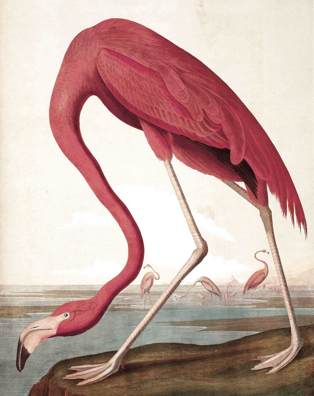 KEK Amsterdam Wallpaper Panel Flamingo PA-012 Behang