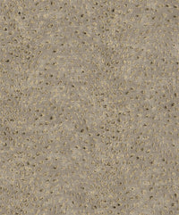 Khrôma Cabinet Tender Amber CAB803