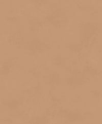 Khrôma Colorythm Color Camel BLONE1014