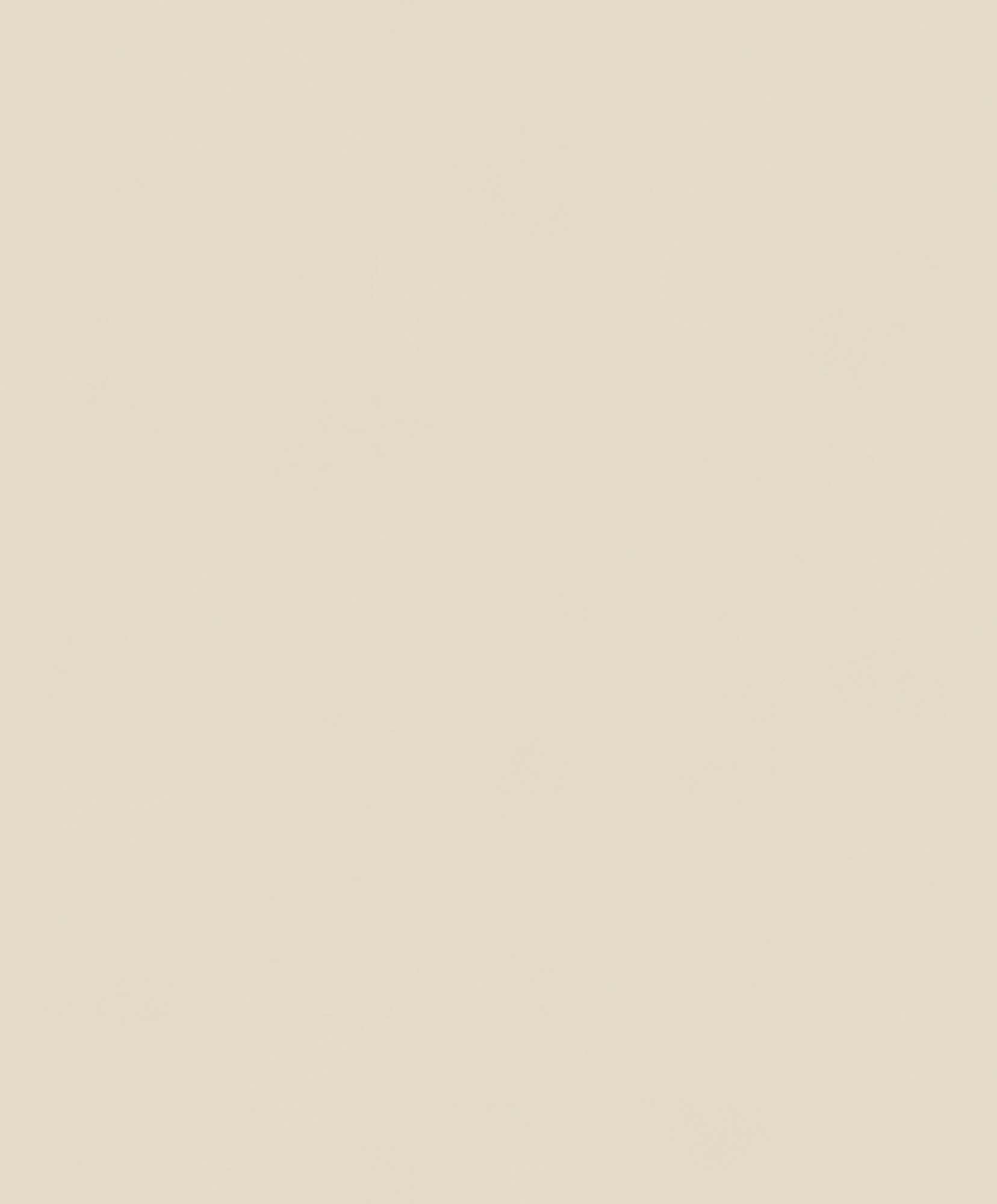 Khrôma Colorythm Color Cement BLONE1007 Behang