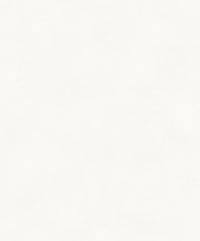 Khrôma The Colour Book Color Ash BLONE1021