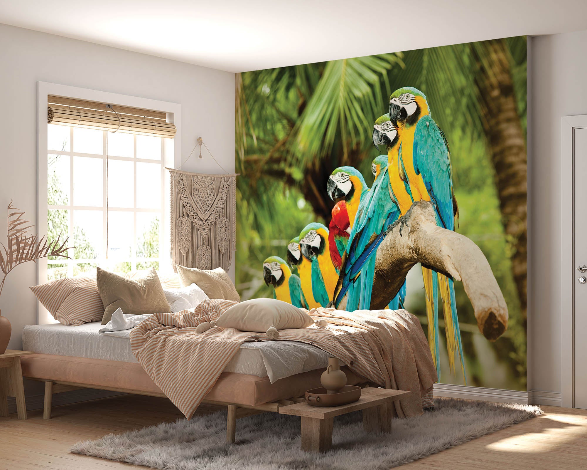 kleurrijke papegaaien - LW00149 Fotobehang