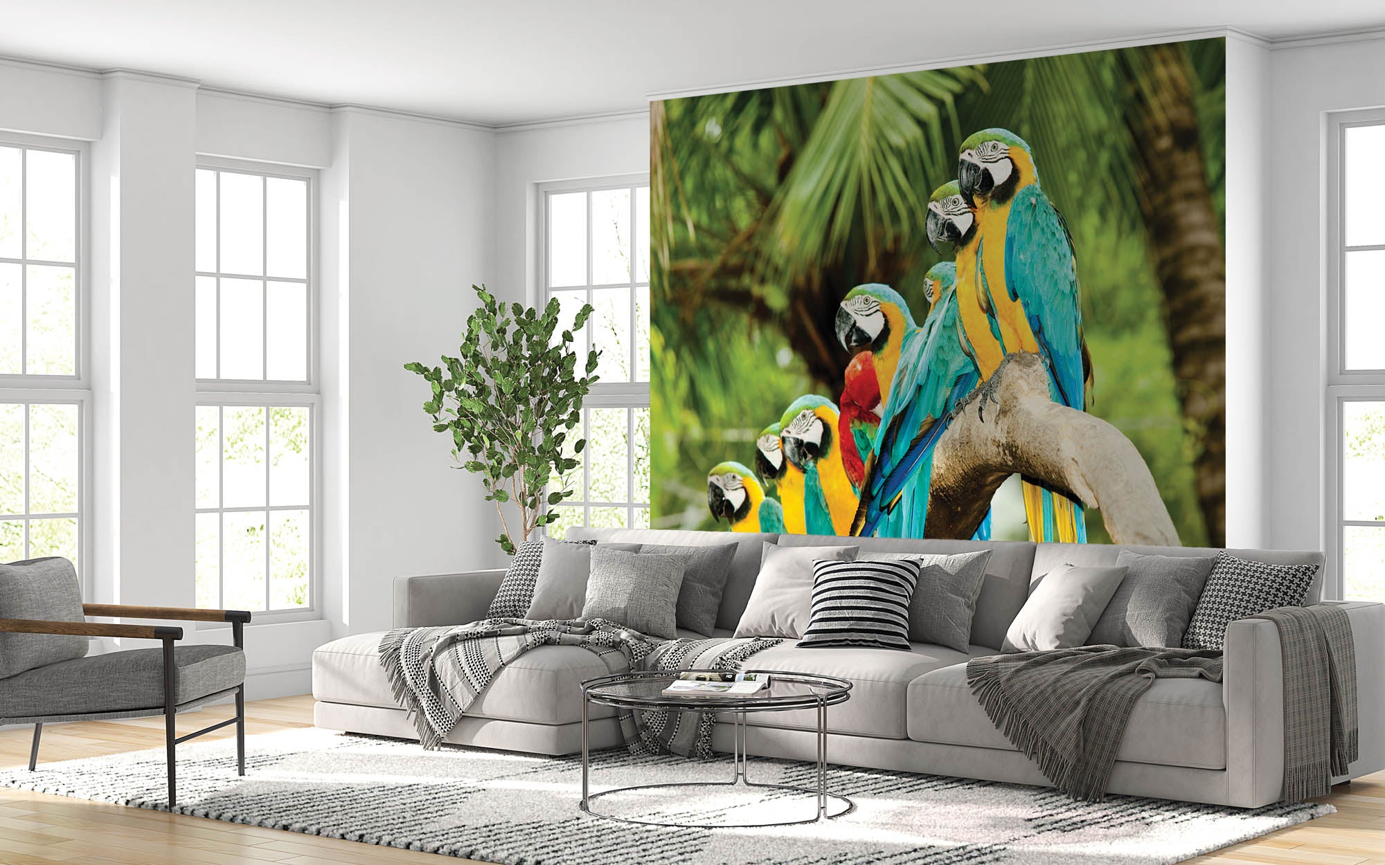 kleurrijke papegaaien - LW00149 Fotobehang