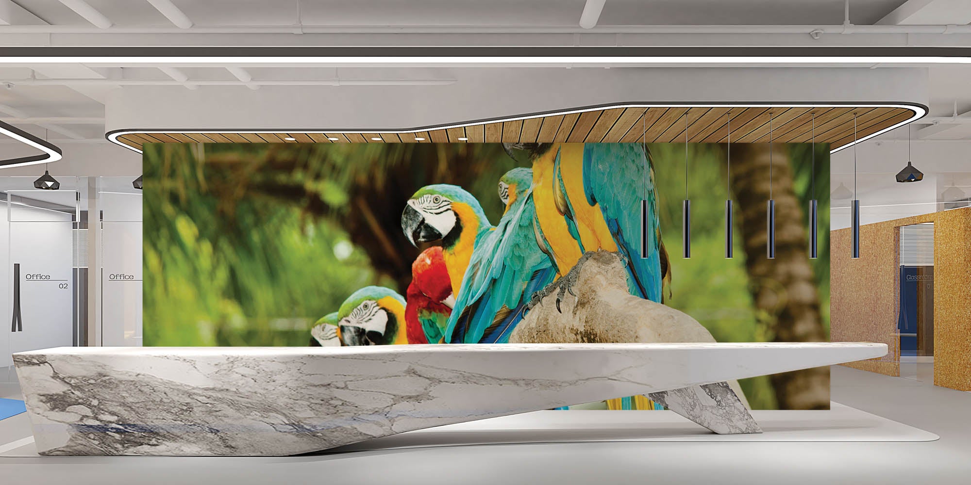 kleurrijke papegaaien - LW00149 Fotobehang