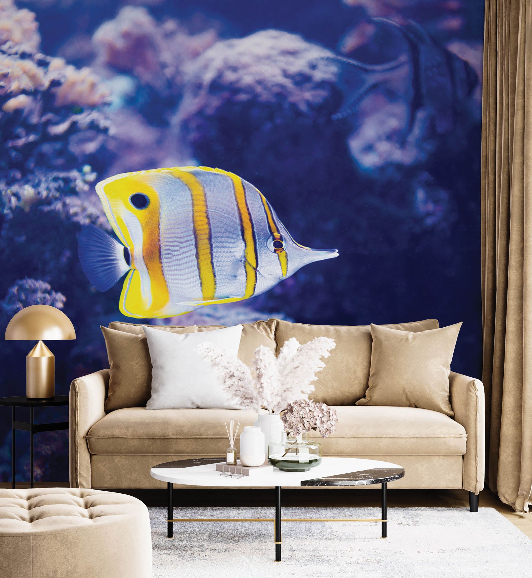 Kleurrijke vis - LW00167 Fotobehang