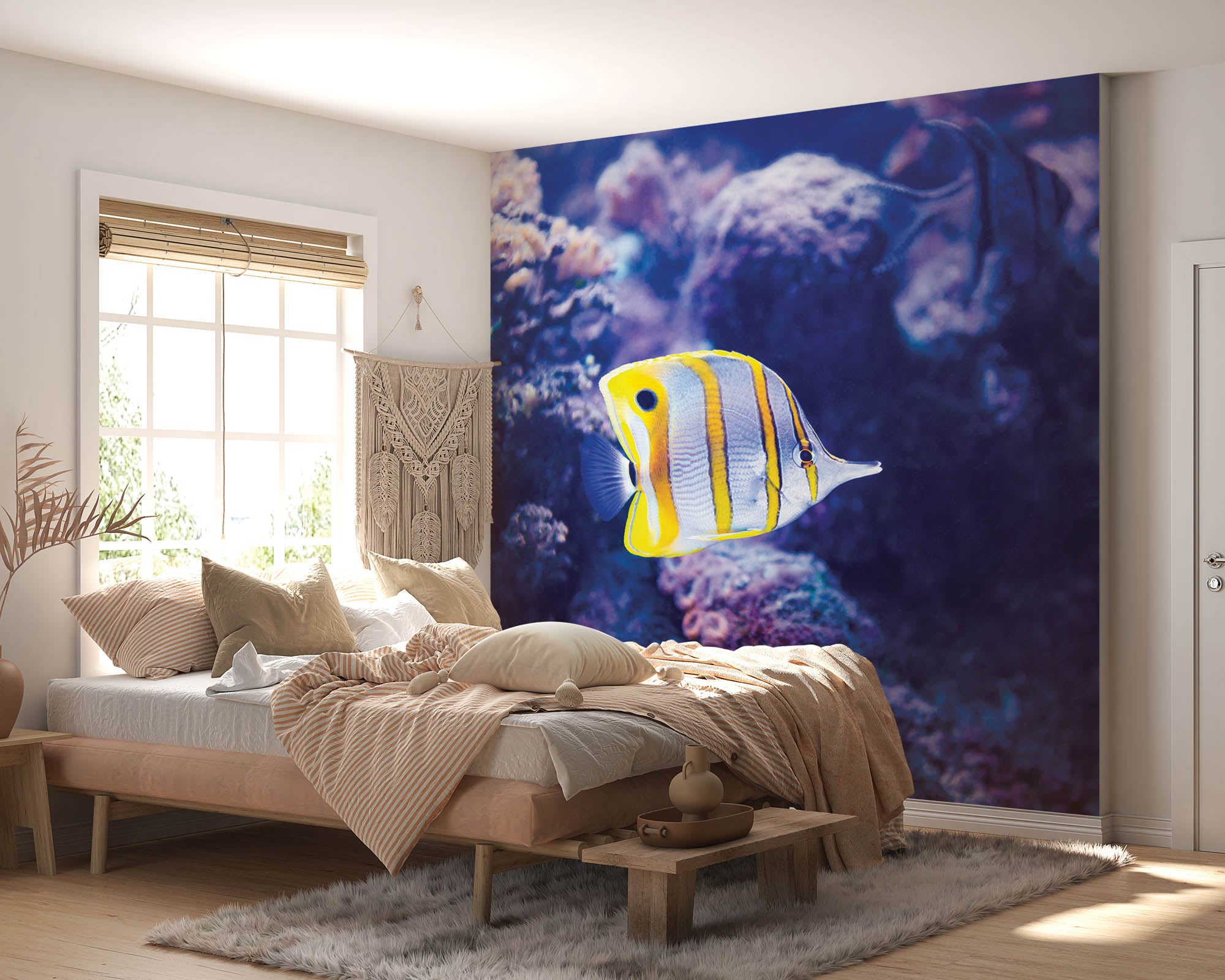 Kleurrijke vis - LW00167 Fotobehang