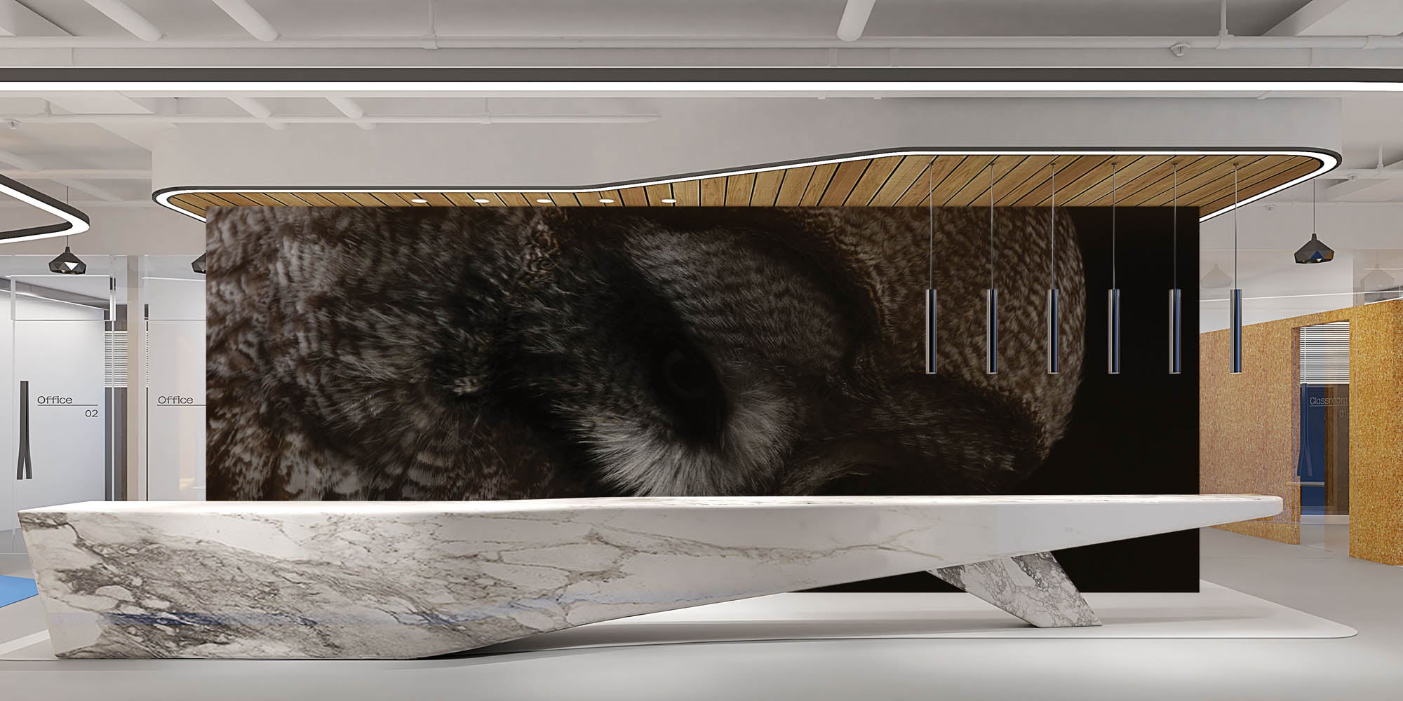 Kop van een grote grijze uil - LW00181 Fotobehang