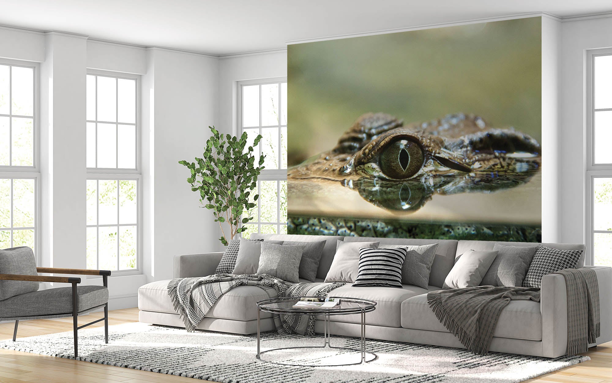 Krokodil - LW00155 Fotobehang