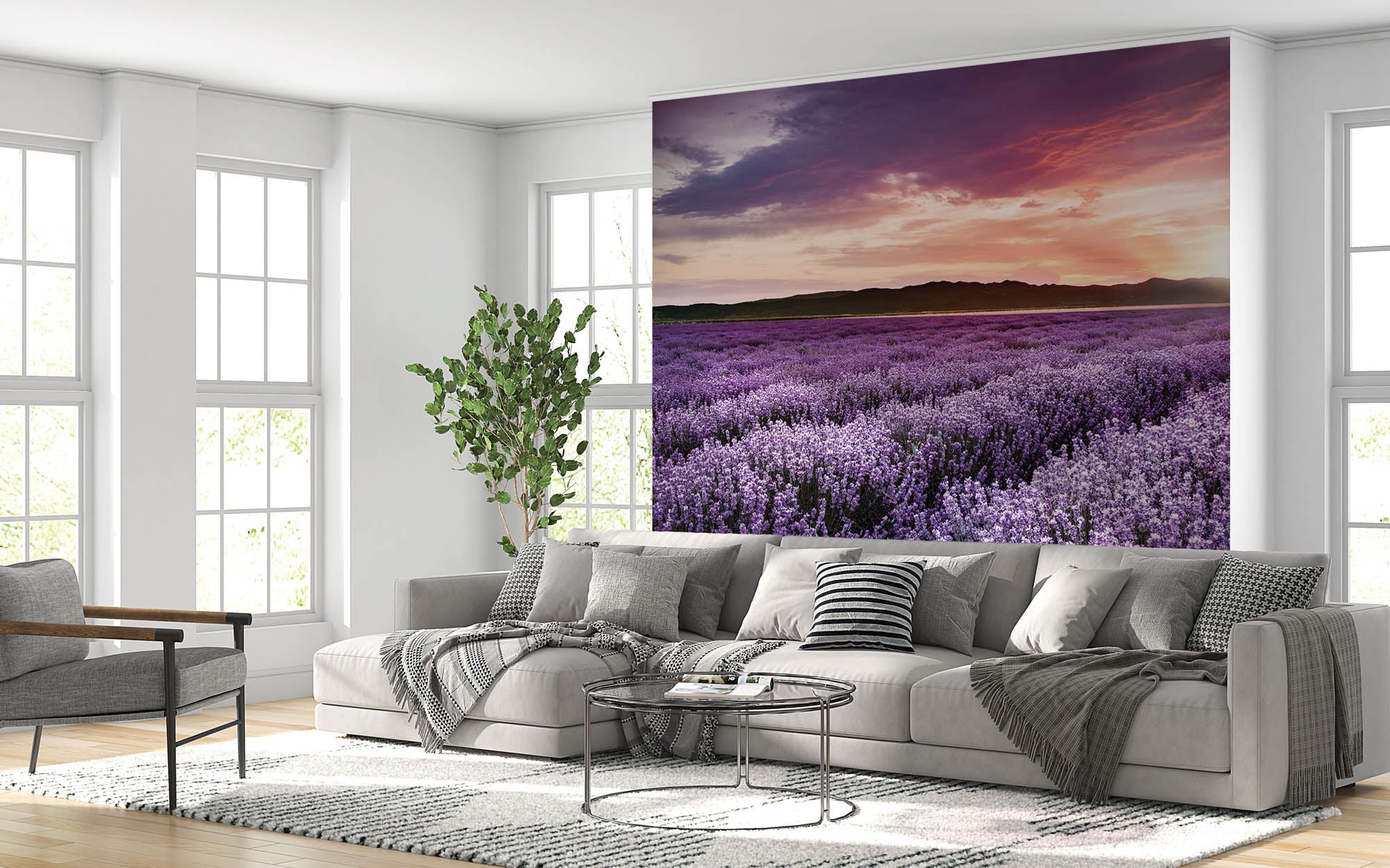 Lavendelveld - LW00262 Fotobehang