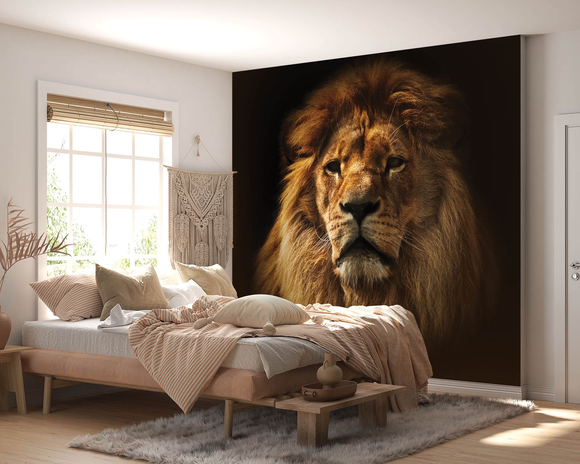 Leeuw - LW00158 Fotobehang