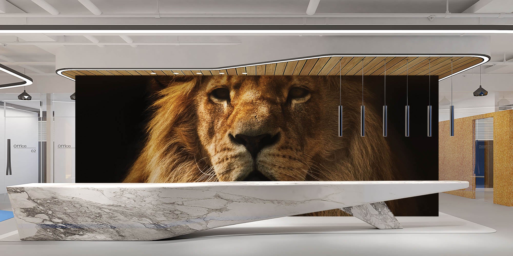 Leeuw - LW00158 Fotobehang