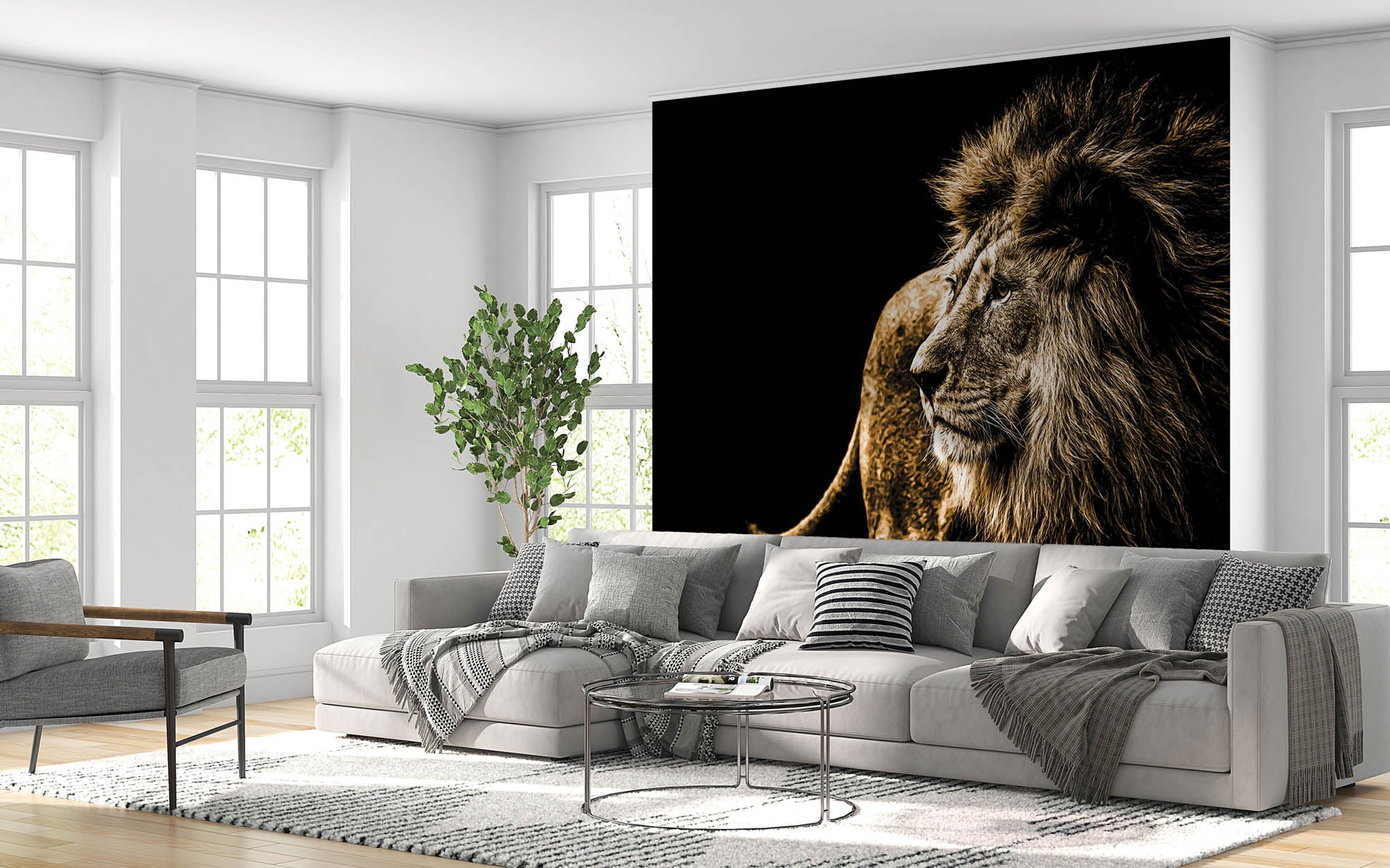 Leeuw op zwarte achtergrond - LW00186 Fotobehang