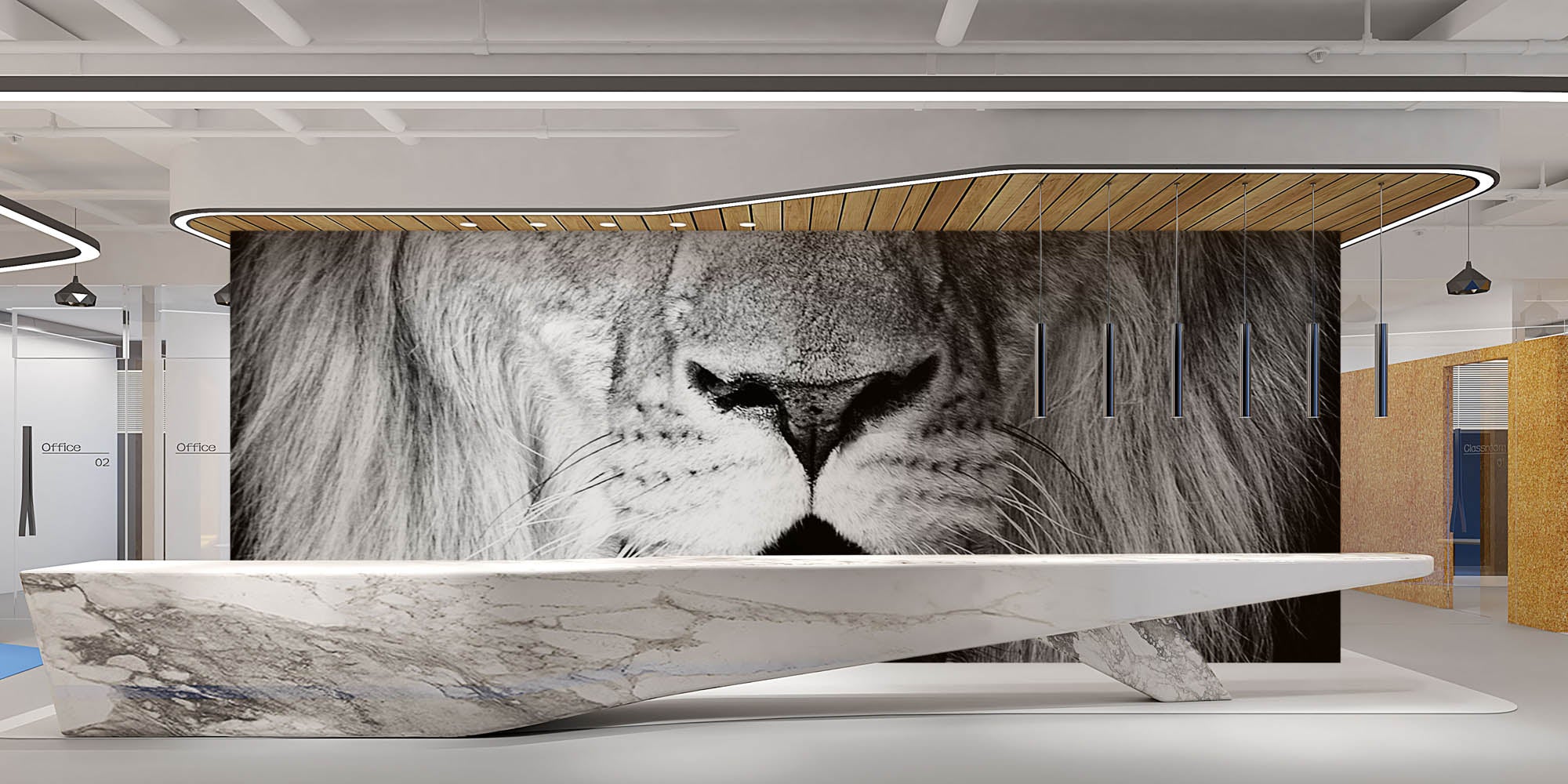 Leeuwenkop op zwarte achtergrond - LW00220 Fotobehang