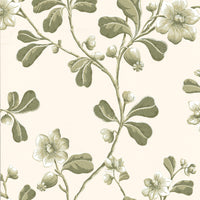 Little Green London Wallpapers Broadwick St Garden