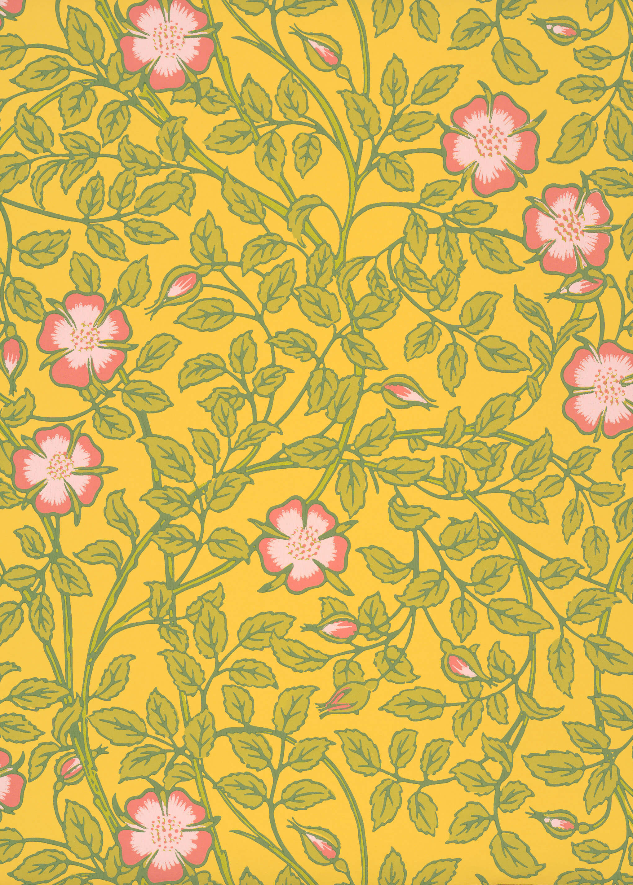 Little Green National Trust III Briar Rose Indian Yellow Behang