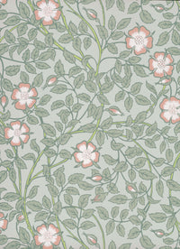 Little Green National Trust III Briar Rose Salix