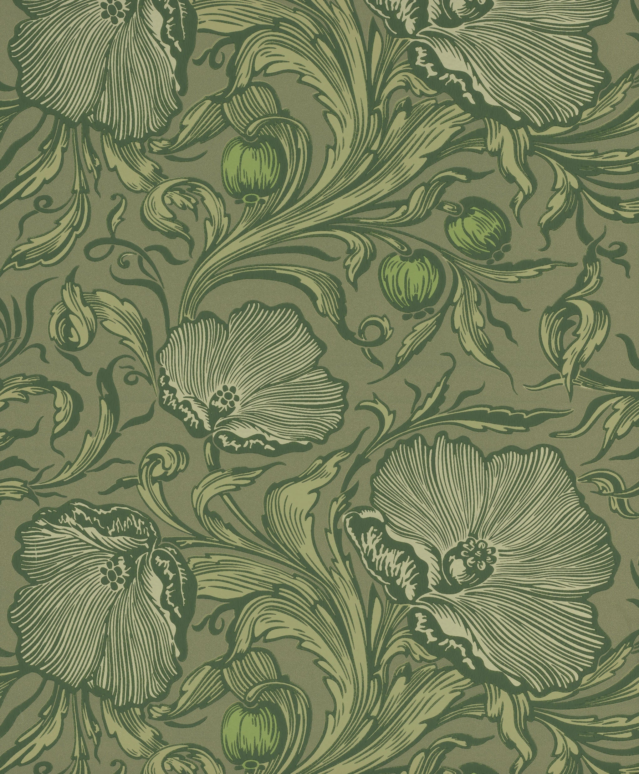Little Green National Trust III Poppy Trail Sage Green Behang