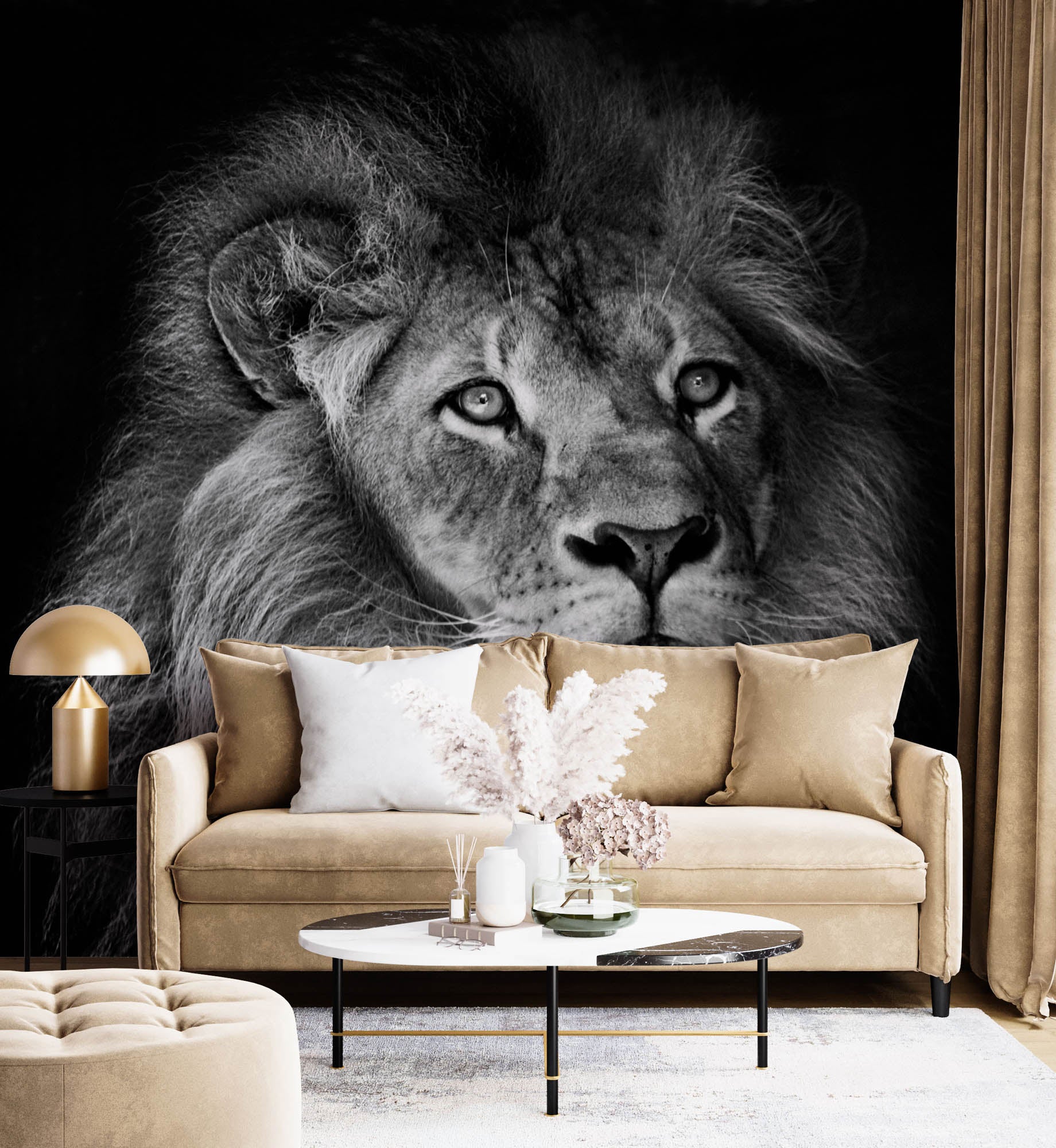 Mannetjesleeuw met manen - LW00212 Fotobehang