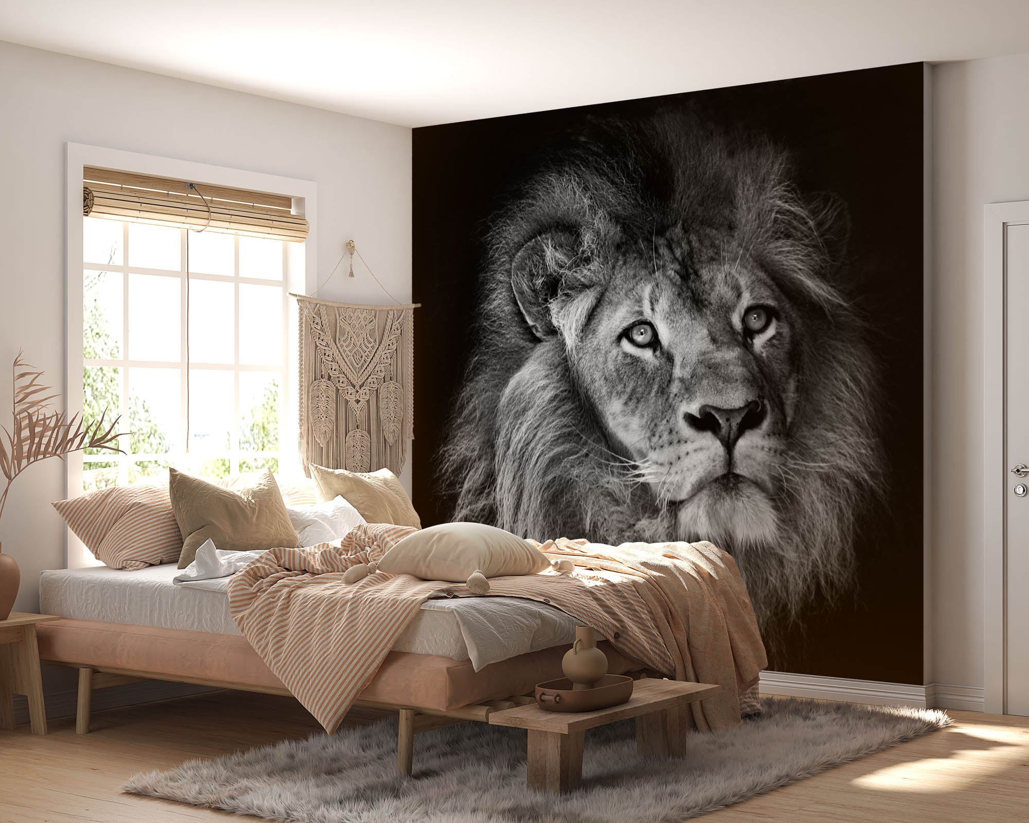 Mannetjesleeuw met manen - LW00212 Fotobehang