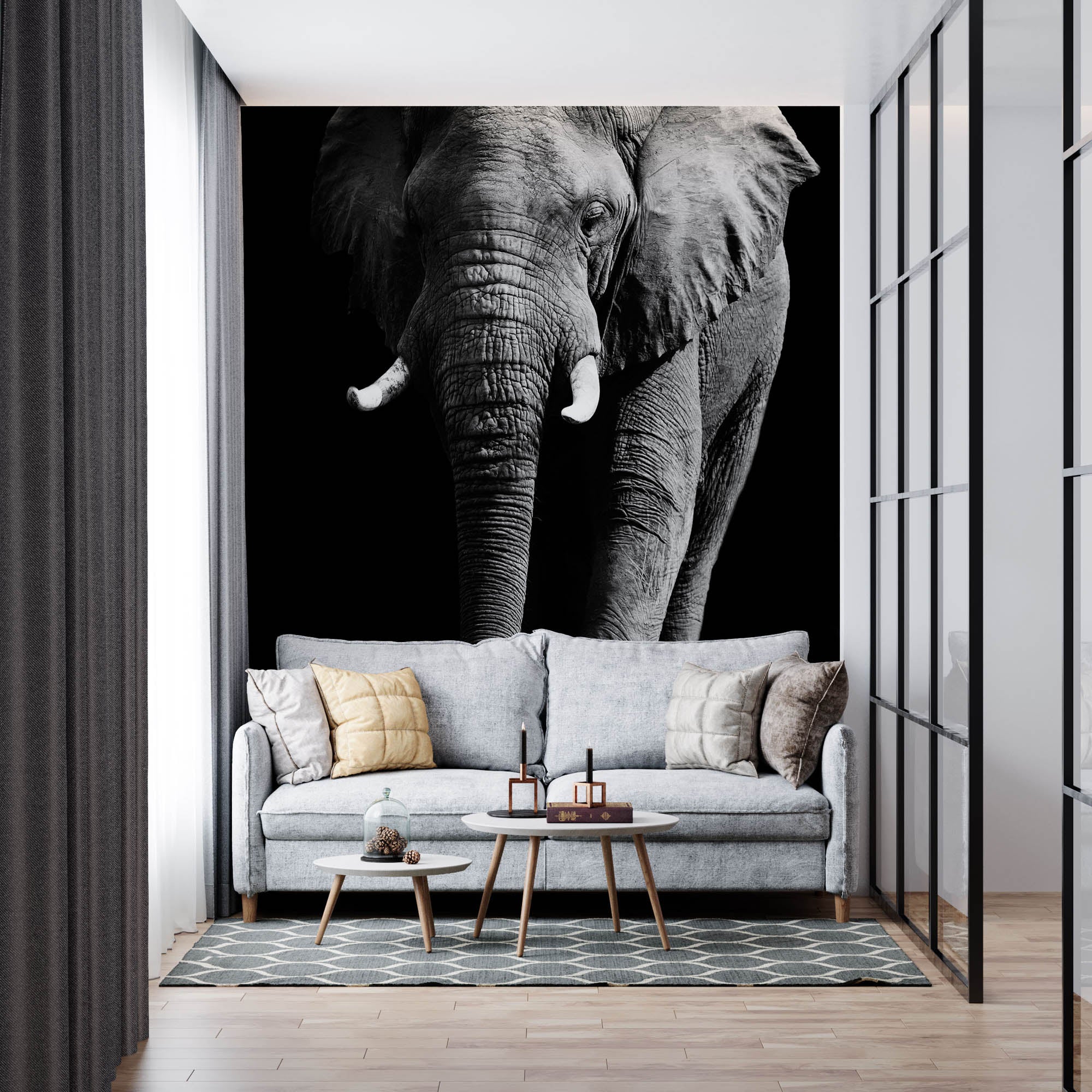 Olifant op zwarte achtergrond - LW00202 Fotobehang