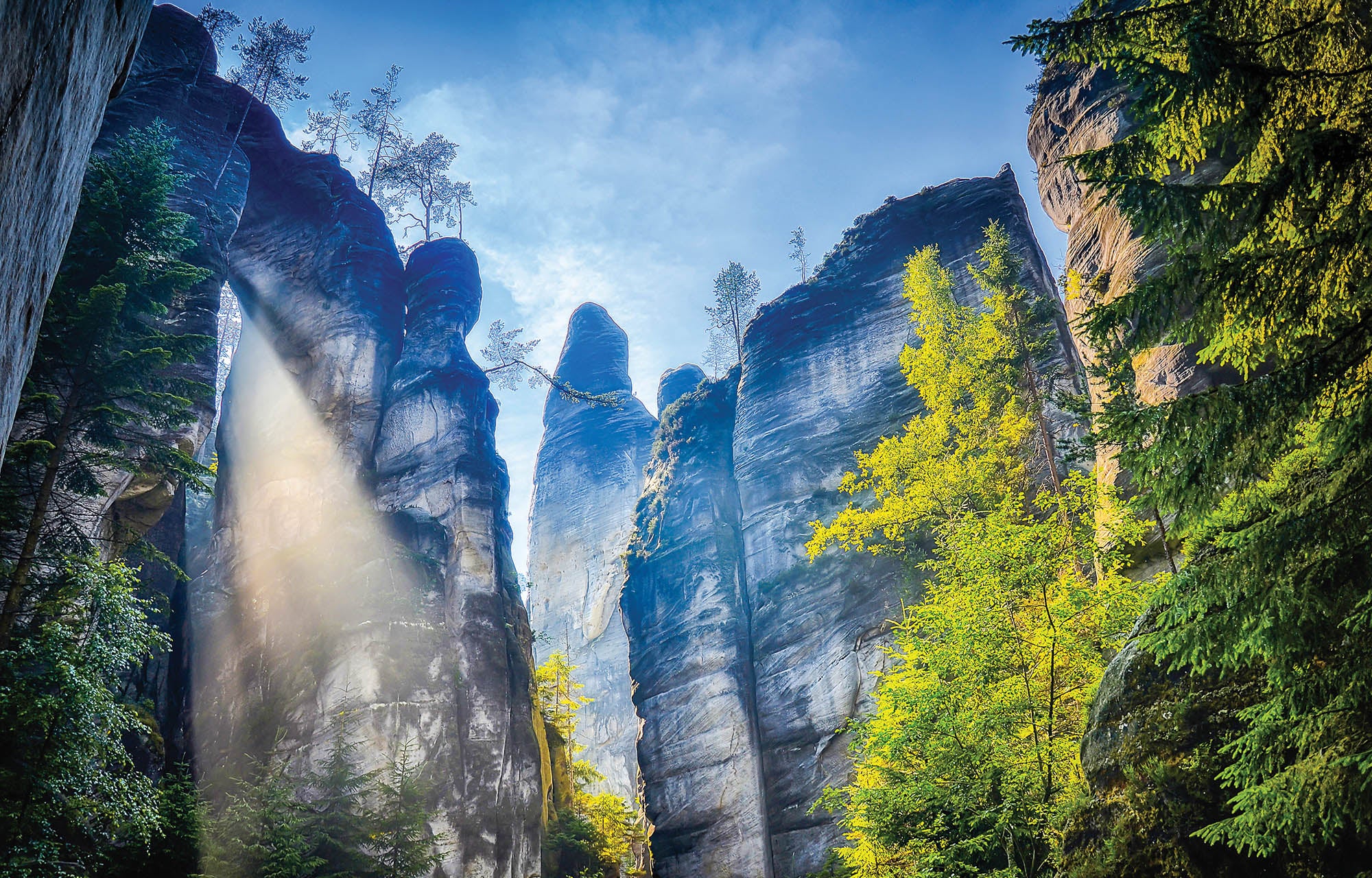 Onderaanzicht van de bergen met blik naar de blauwe lucht. - LW00277 Fotobehang