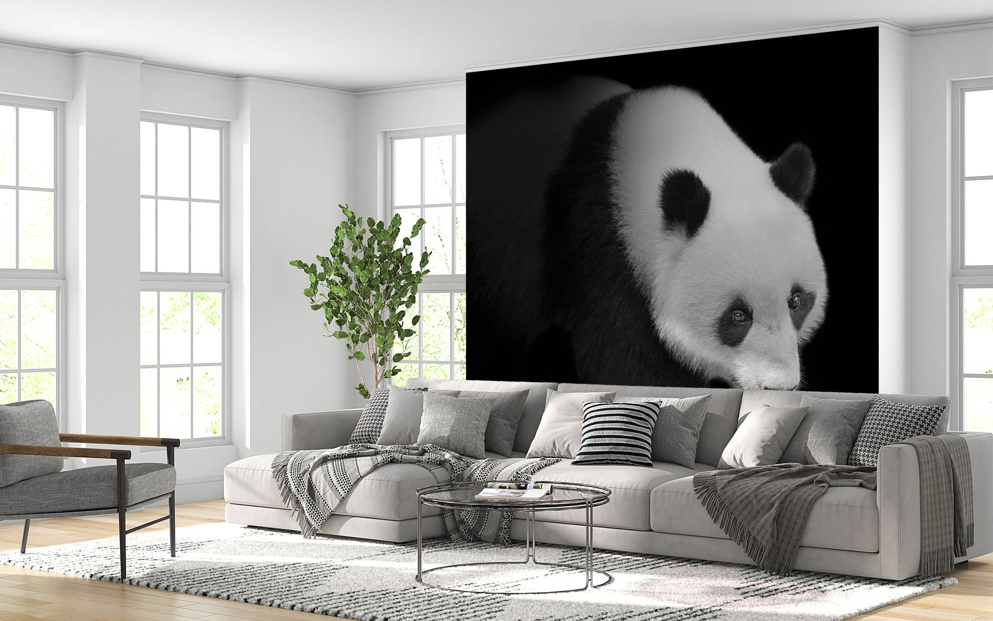 Pandabeer lopend vanuit het donker - LW00240 Fotobehang
