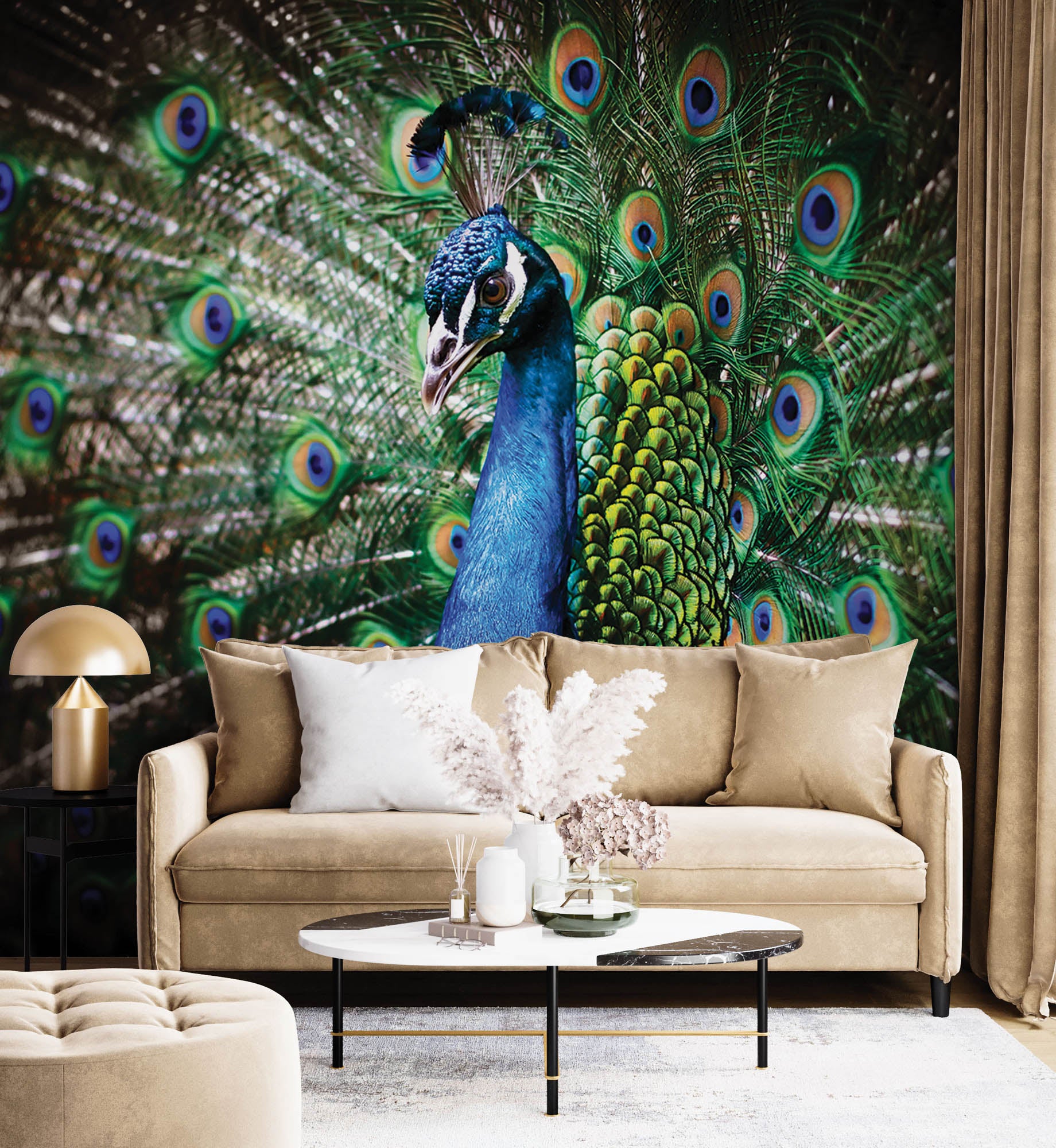 Pauw met veren - LW00152 Fotobehang