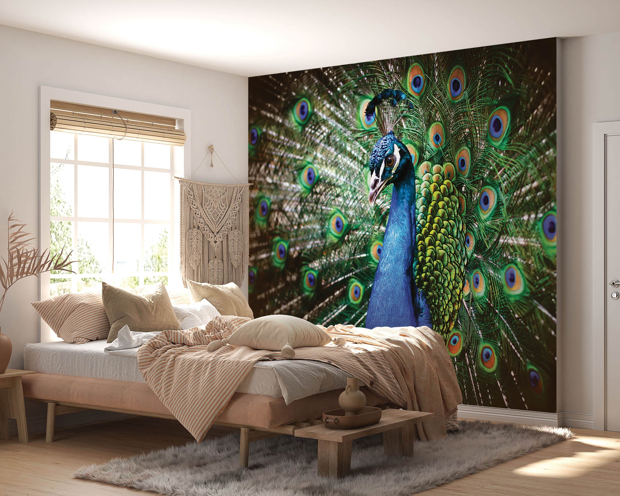 Pauw met veren - LW00152 Fotobehang