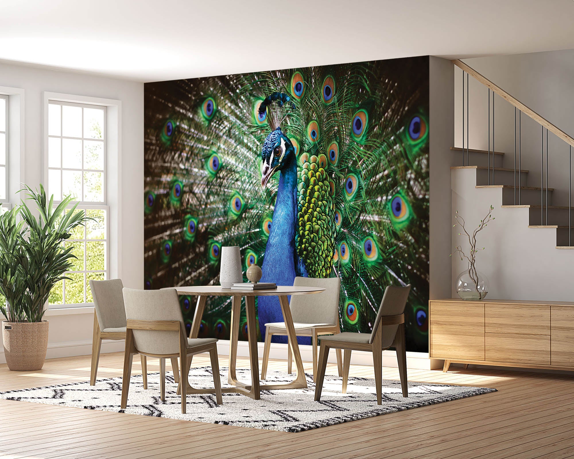 Pauw met veren - LW00152 Fotobehang