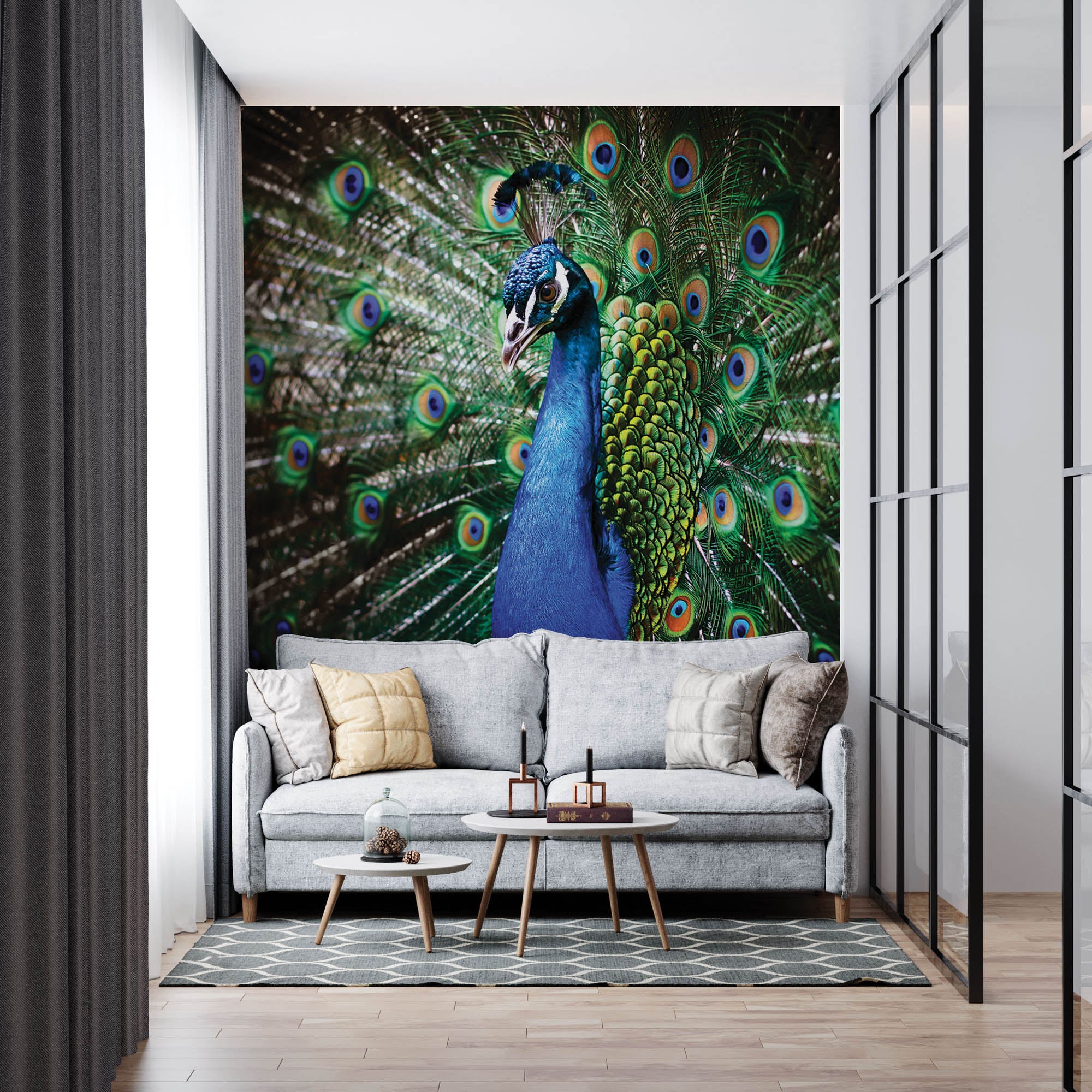 Pauw met veren - LW00152 Fotobehang