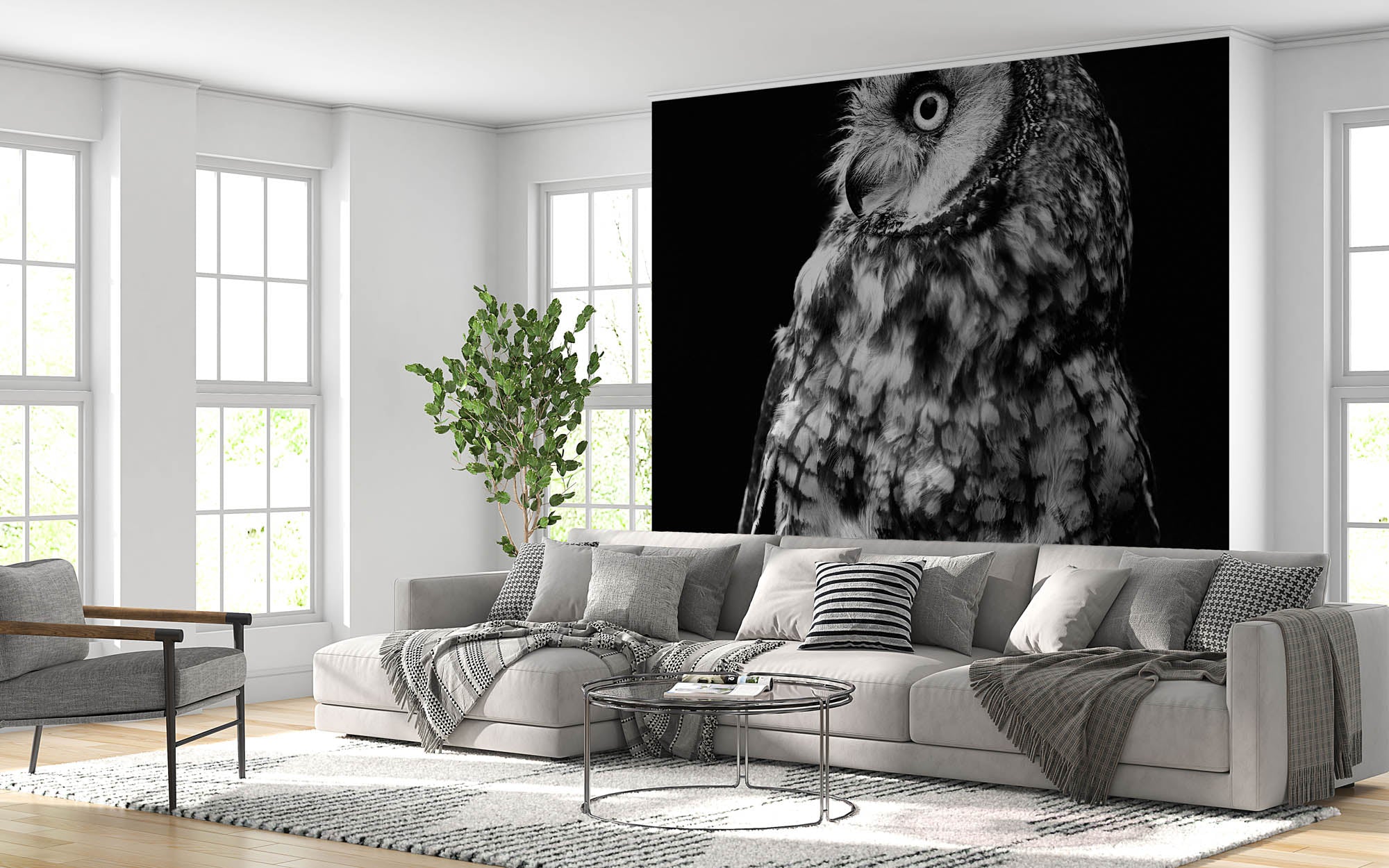 Ransuil - LW00200 Fotobehang