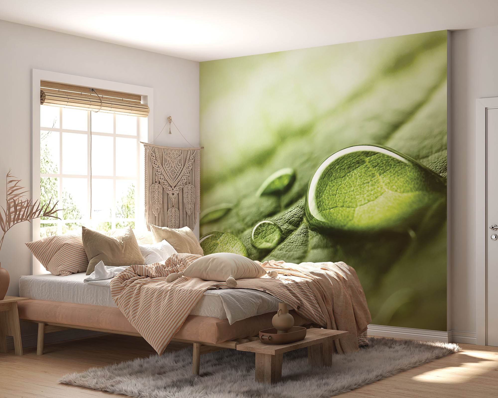 Regendruppels op groen blad - LW00280 Fotobehang