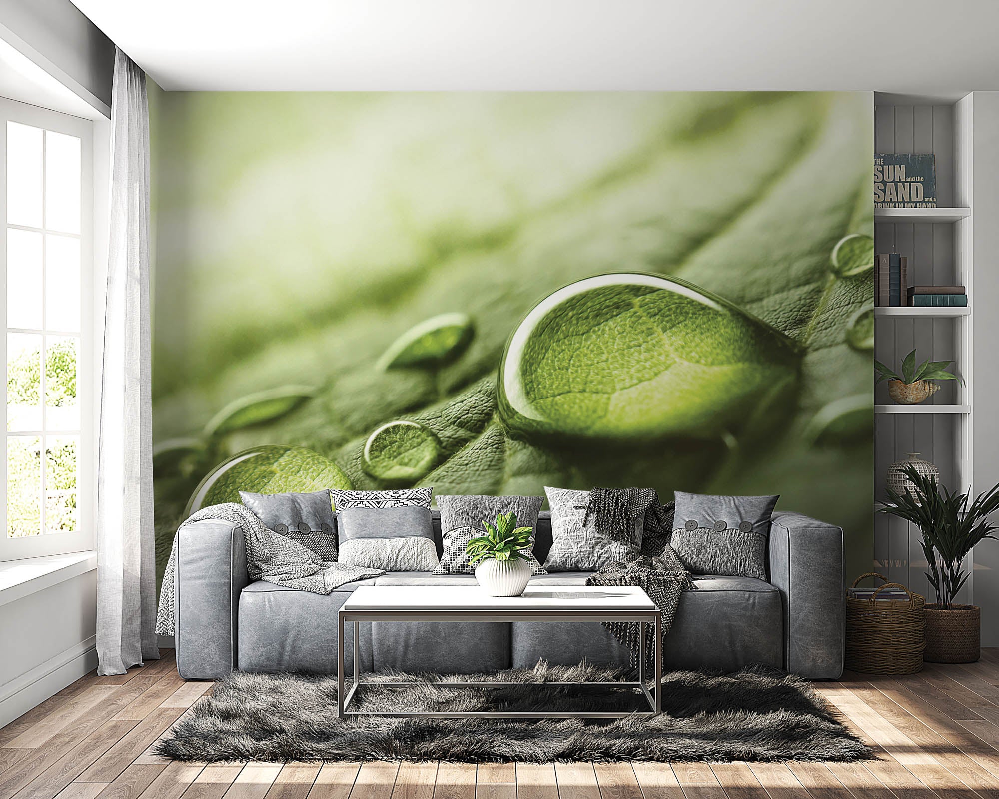 Regendruppels op groen blad - LW00280 Fotobehang