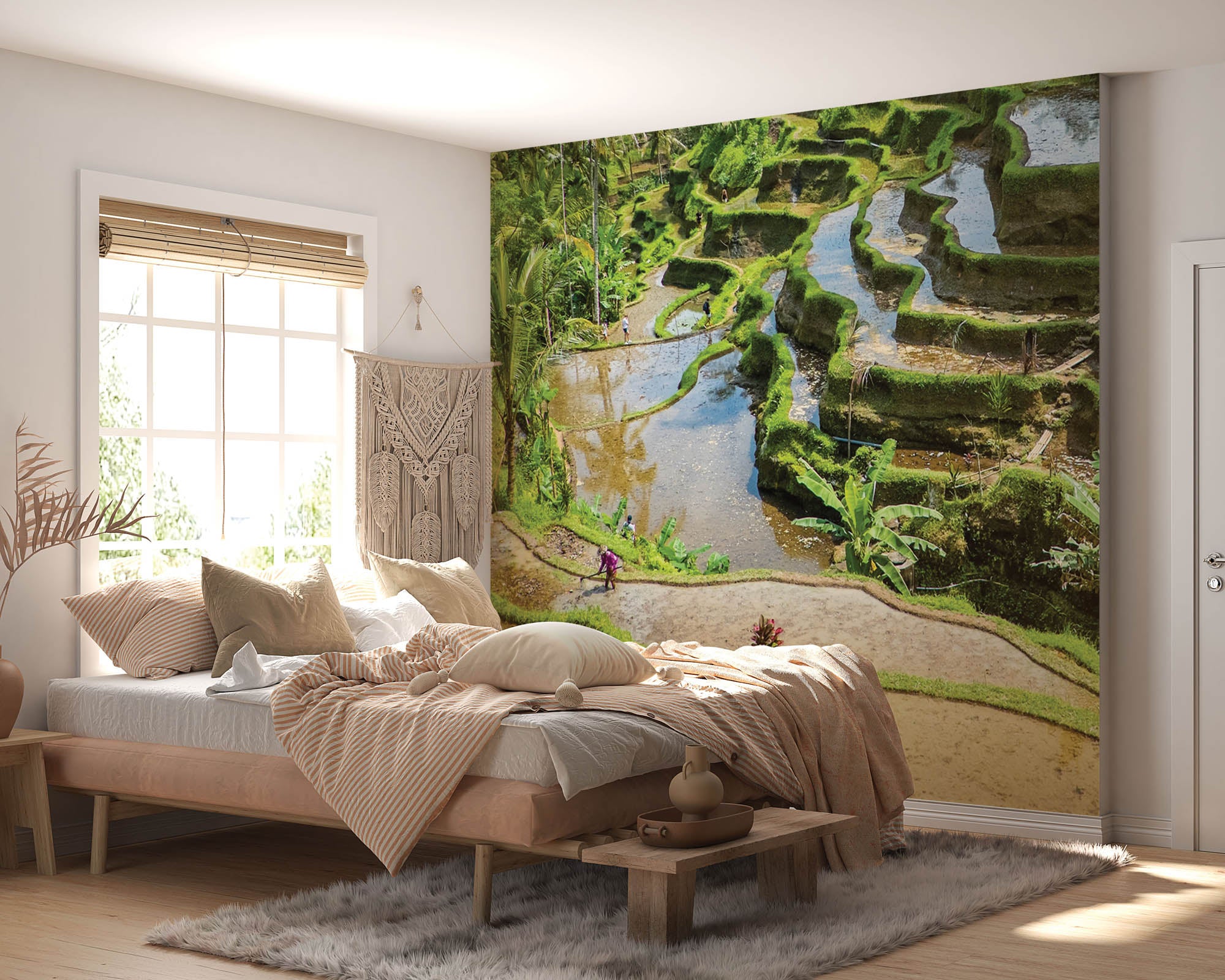 Rijstvelden en theeplantages - LW00087 Fotobehang