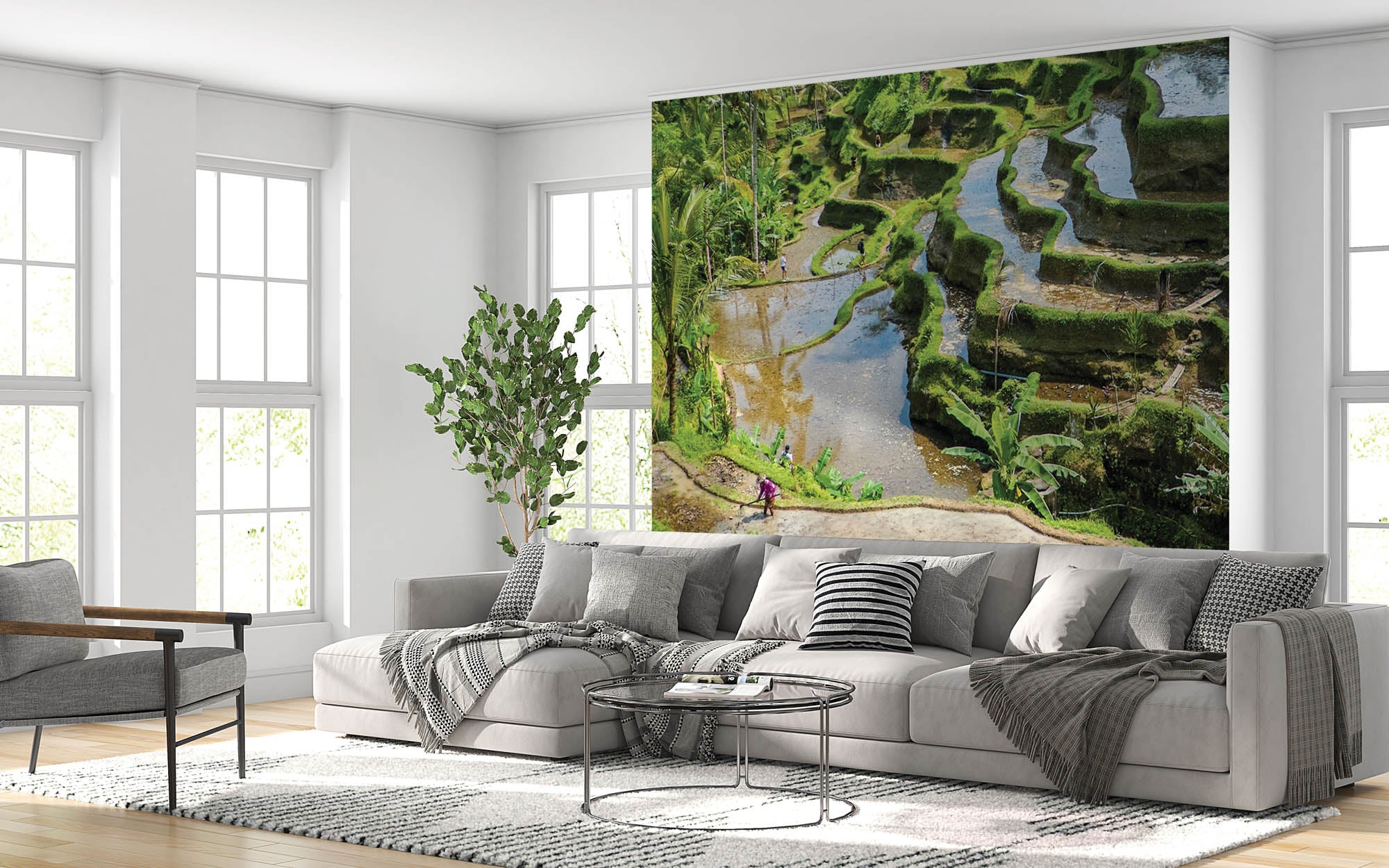 Rijstvelden en theeplantages - LW00087 Fotobehang