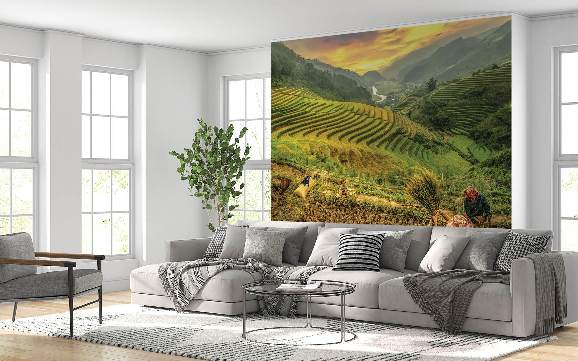 Rijstvelden - LW00073 Fotobehang